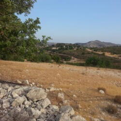 Land Agriculture In Limassol